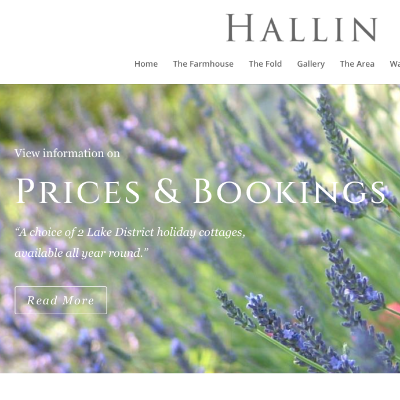 Hallin Bank website preview