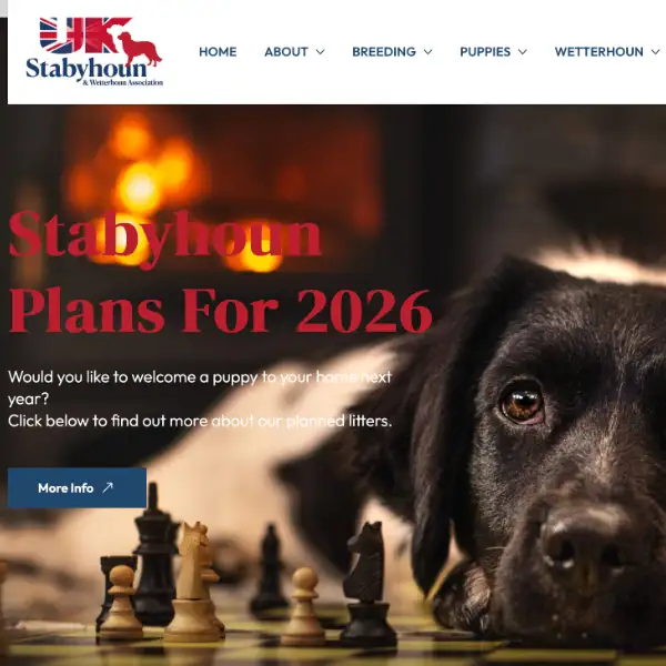 Stabyhoun website design